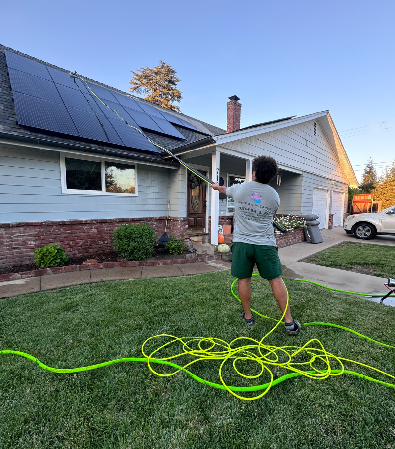 Solar Panel Cleaning