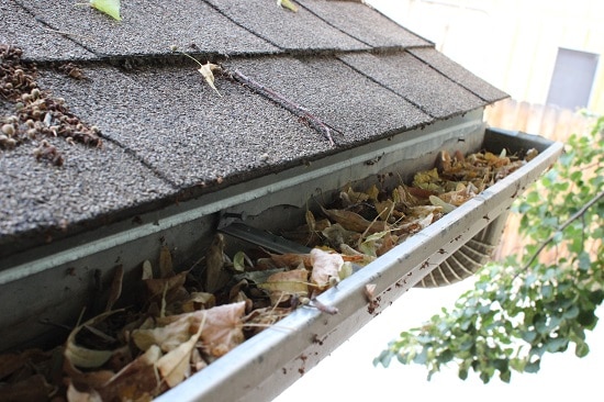 Window Wizards LLC debris removal gutters
