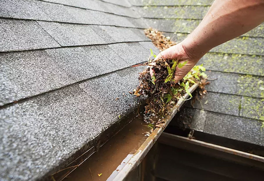 Window Wizards LLC professional gutter cleaning service