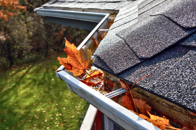 Window Wizards LLC gutter cleaning service