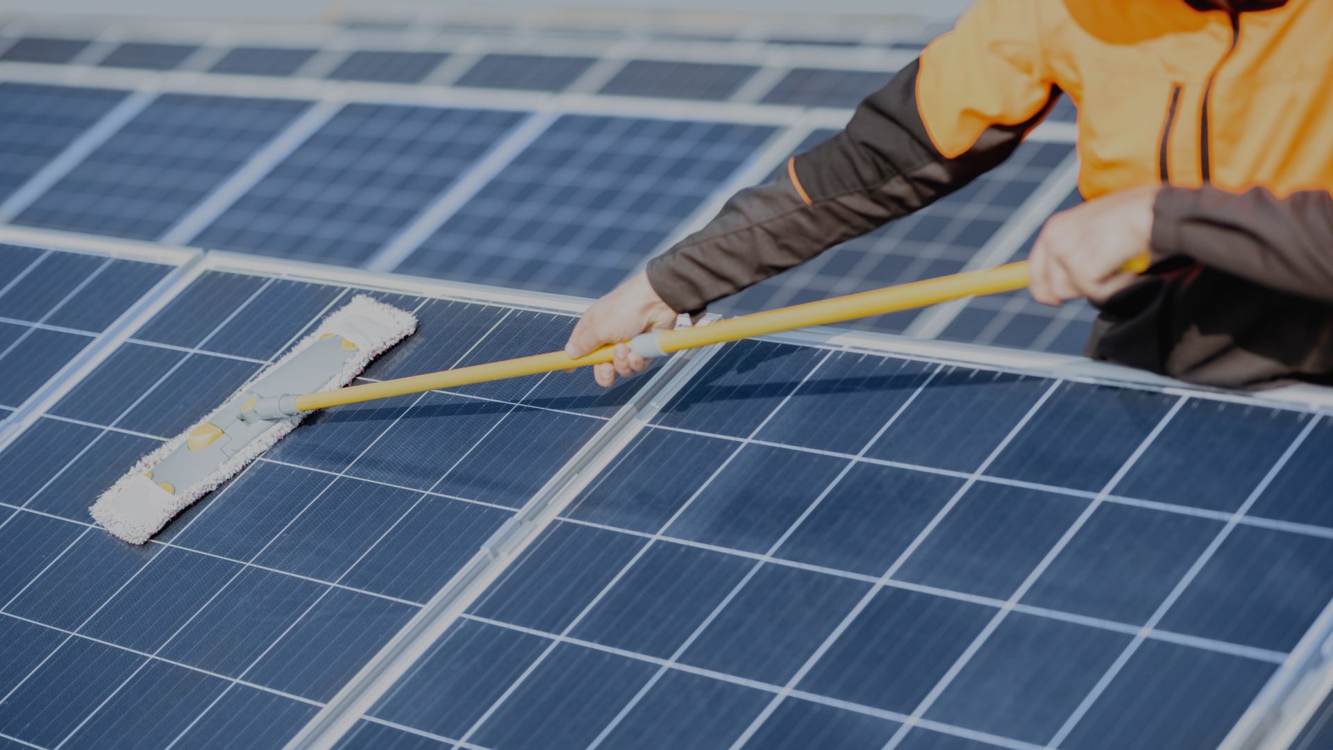 Window Wizards LLC professional solar panel cleaning service